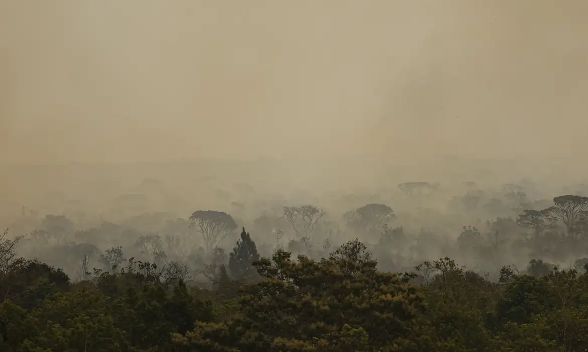 Parque de Brasília: fogo vira subterrâneo mas pode voltar à superfície -  (crédito: EBC)