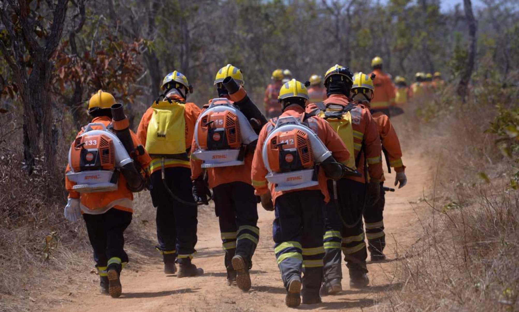  18/09/2024 Credito: Ed Alves/CB/DA.Press. Cidades. Movimentação no Parque Nacional - combate a foco de incendio na mata - Bombeiros e Brigada da ICMbio trabalhando - fogo subterraneo. 