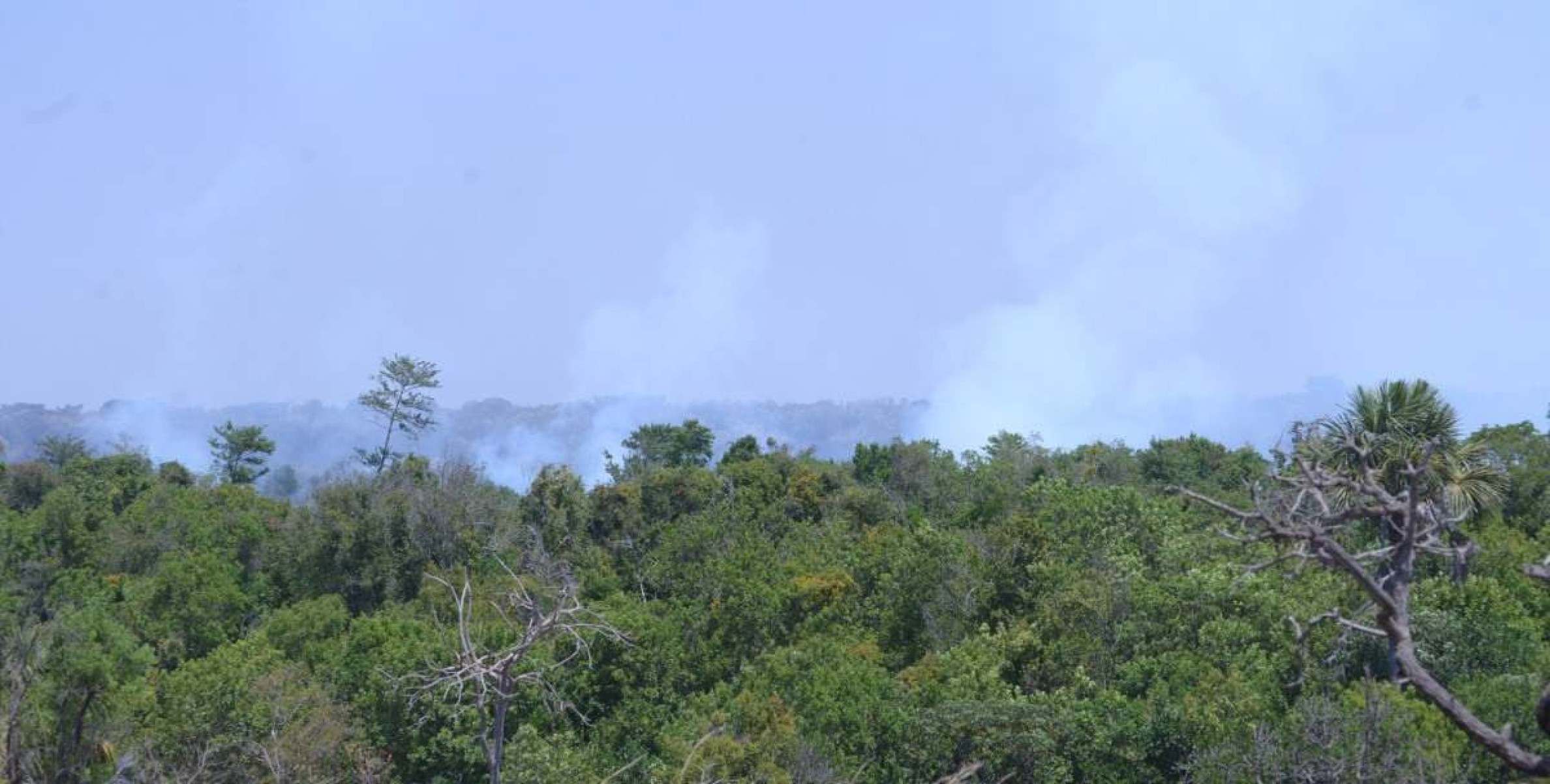 Brigadistas e militares atuam no monitoramento do Parque Nacional 