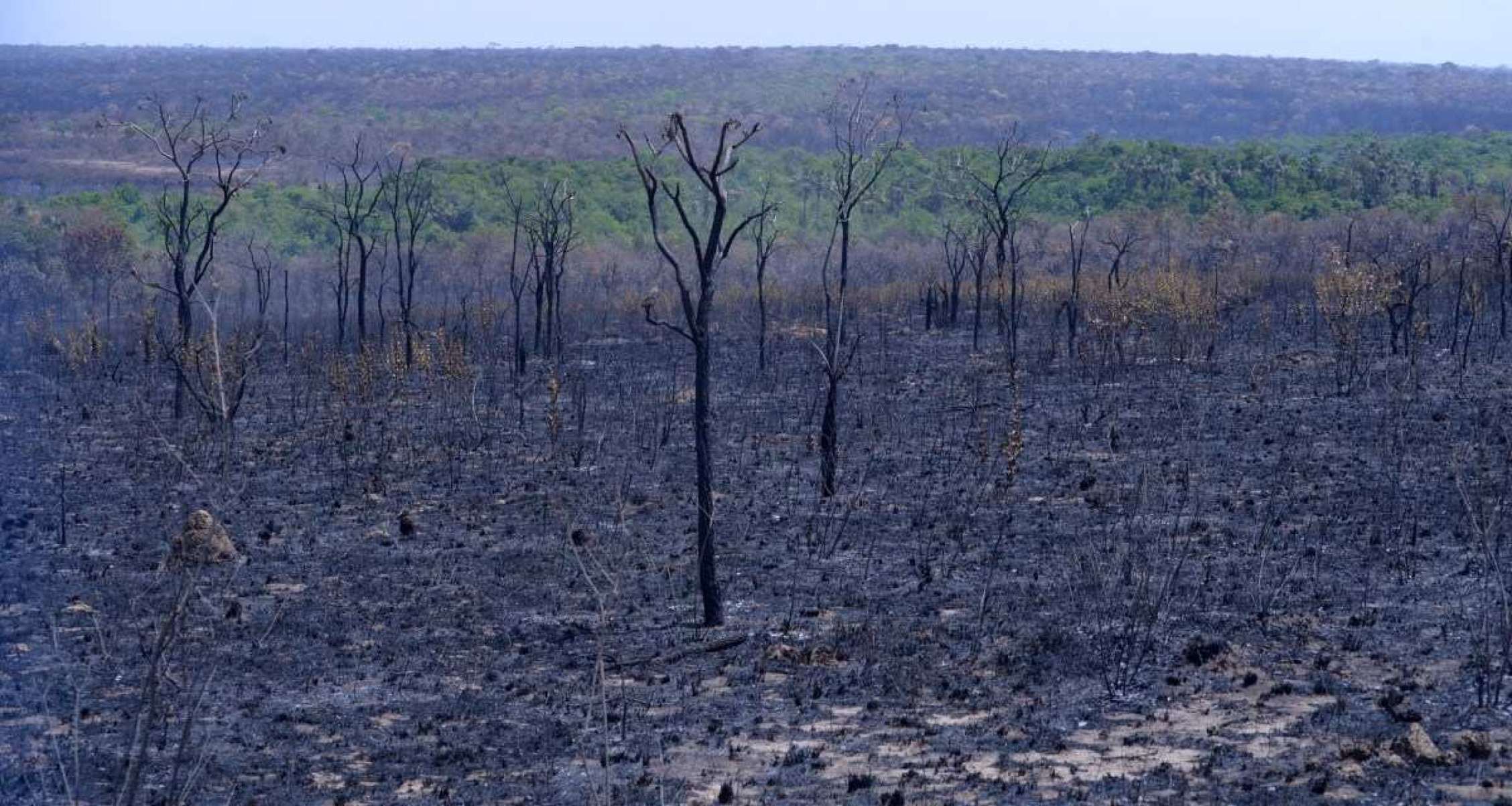 Saiba qual é a situação dos incêndios no Parque Nacional de Brasília