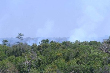 O  incêndio só será declarado extinto quando não houver mais nenhum ponto de fumaça -  (crédito:  Ed Alves/CB/DA.Press)