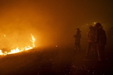 Mais de 3.900 bombeiros e mais de mil veículos foram mobilizados para o combate às chamas em Portugal -  (crédito: PATRICIA DE MELO MOREIRA / AFP)