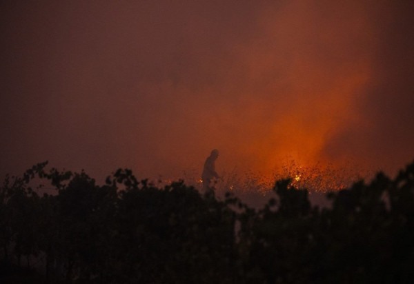 PATRICIA DE MELO MOREIRA / AFP