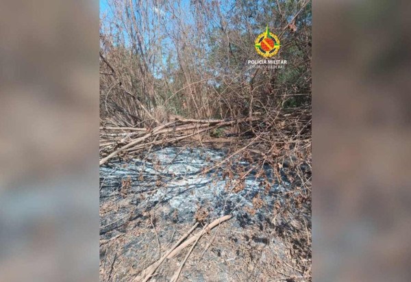 A área incendiada estava sendo preparada para uma possível invasão -  (crédito: PMDF/Divulgação)