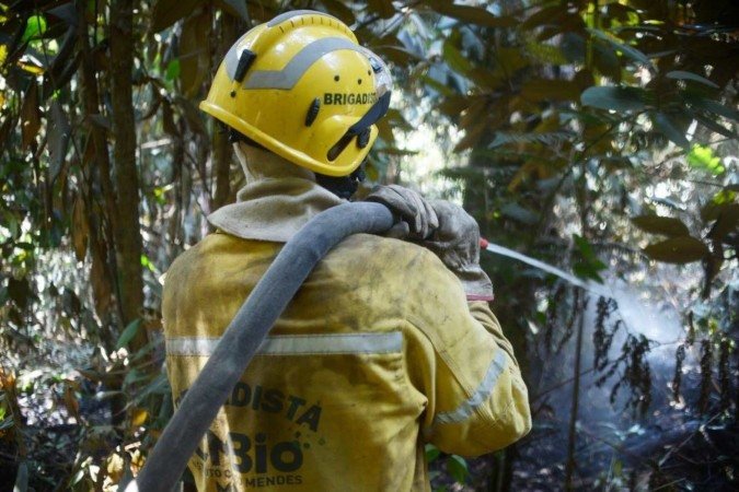 Para o combate a fogo na floresta, os agentes temporários ambientais terão de ar por capacitação de brigada de incêndio - (crédito: Ed Alves/CB/DA.Press) Para o combate a fogo na floresta, os agentes temporários ambientais terão de ar por capacitação de brigada de incêndio - (crédito: Ed Alves/CB/DA.Press)