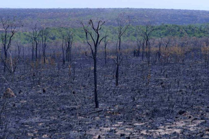 Há focos de fogo subterrâneo (em mata de galeria), gerando uma grande quantidade de fumaça -  (crédito:  Ed Alves/CB/DA.Press)