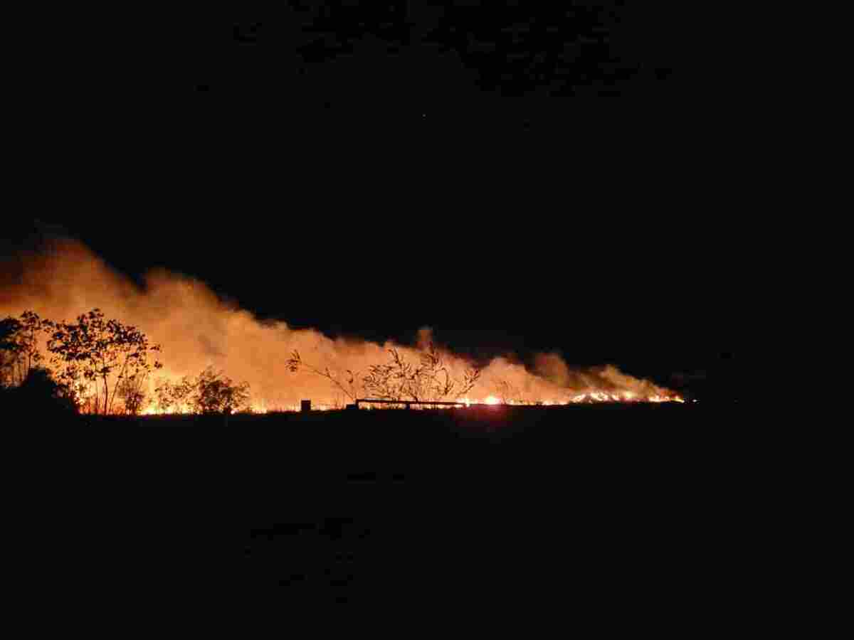 Fogo no Lago Oeste atingiu cerca de 10 propriedades e foram registradas 9 ocorrências policiais -  (crédito: Divulgação / PCDF)