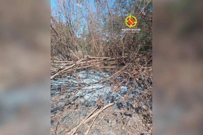 A área incendiada estava sendo preparada para uma possível invasão -  (crédito: PMDF/Divulgação)