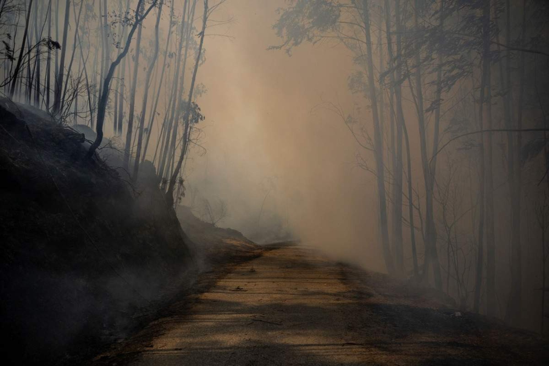 Uma estrada rodeada de fumaça durante um incêndio florestal em Lourizela, Águeda, em Aveiro, a 18 de setembro de 2024      