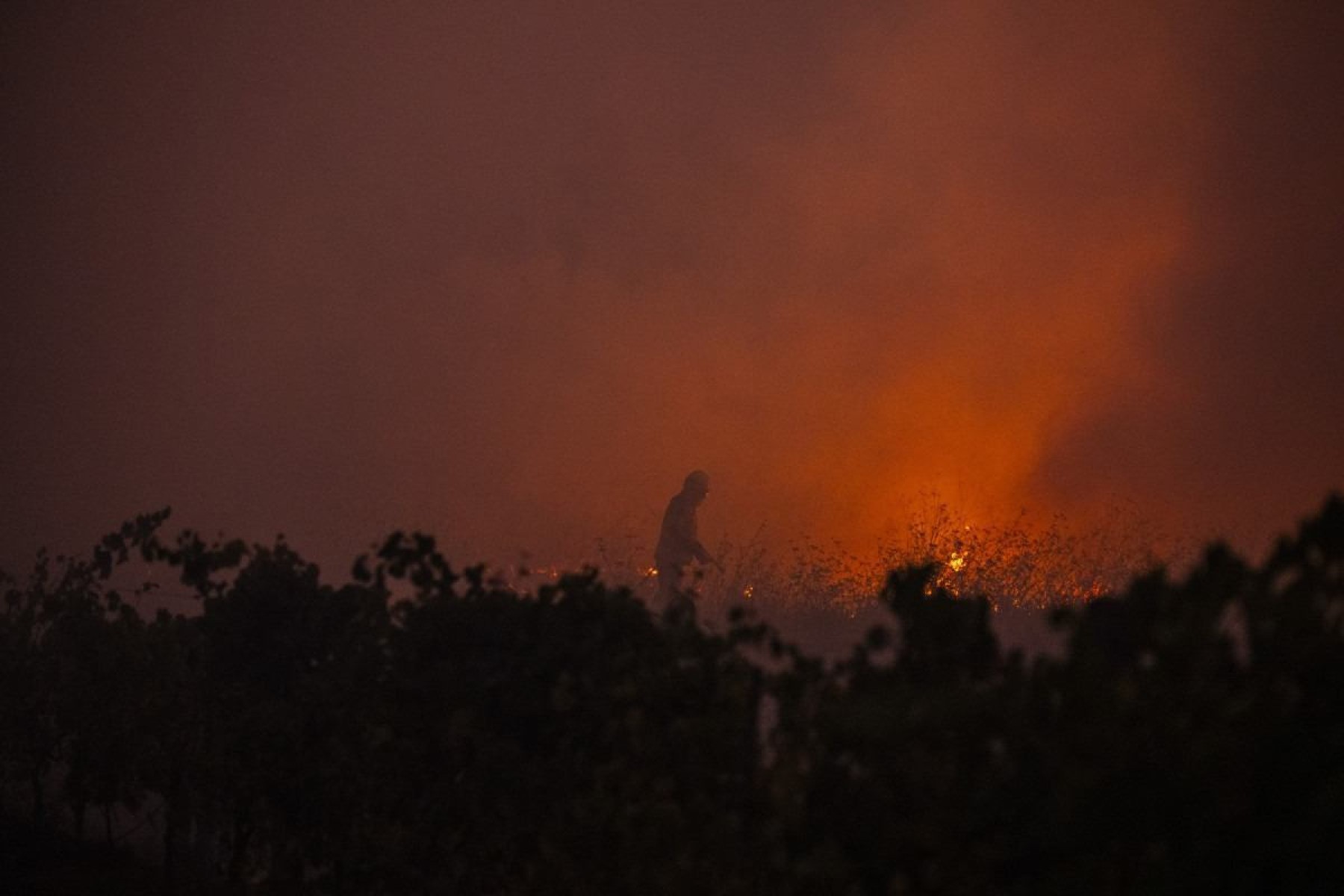 Os incêndios florestais que atingem Portugal