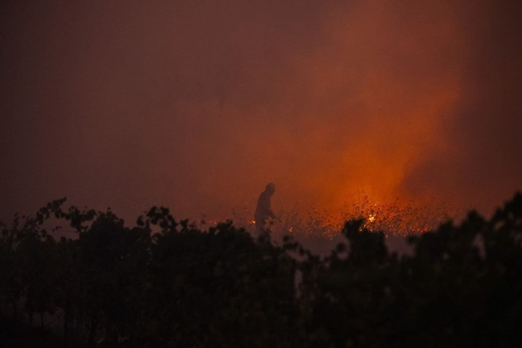 Um bombeiro combate um incêndio florestal na aldeia de Veiga, em Águeda, Aveiro, a 17 de setembro de 2024      