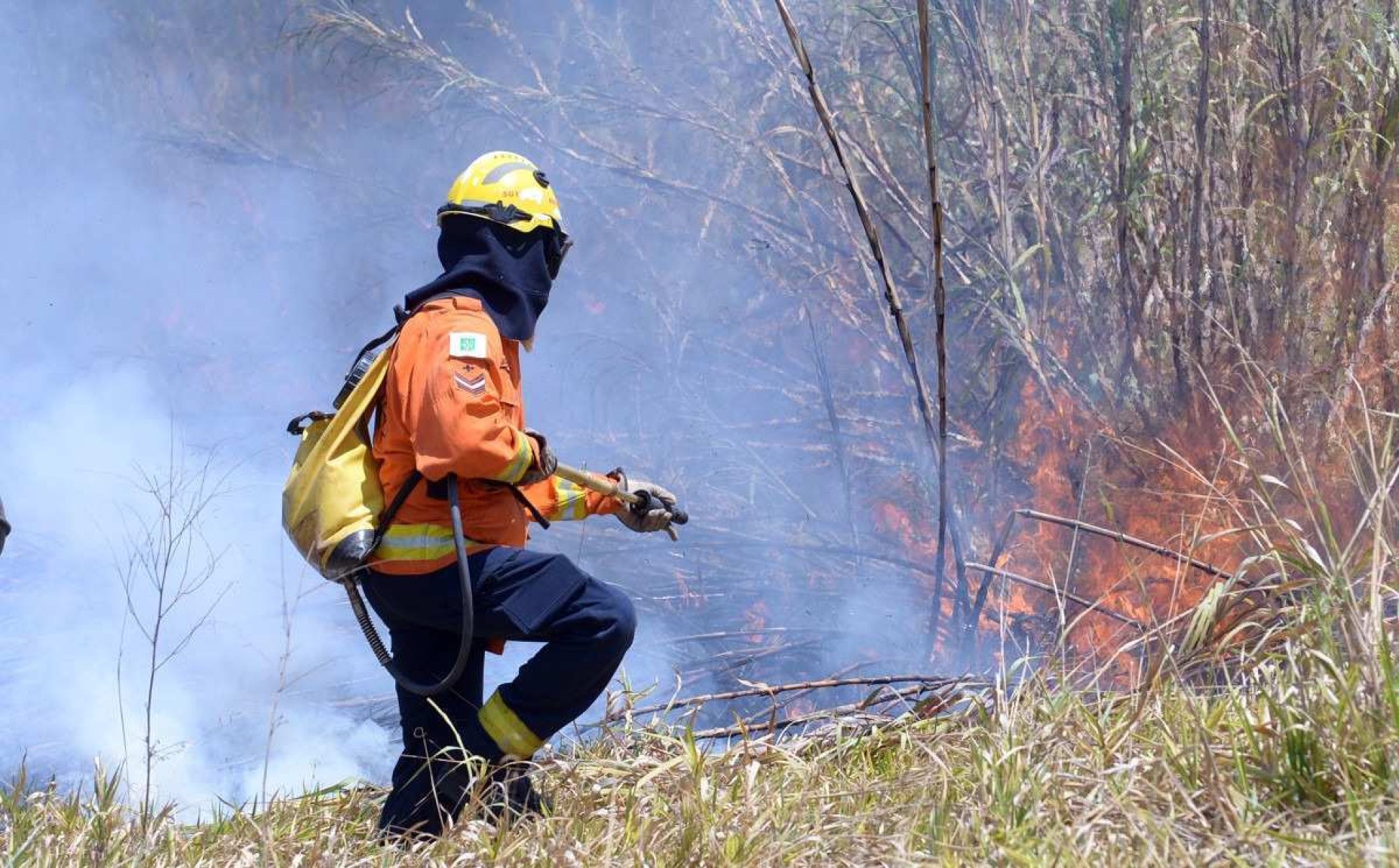 A fumaça das queimadas pode afetar também o cérebro