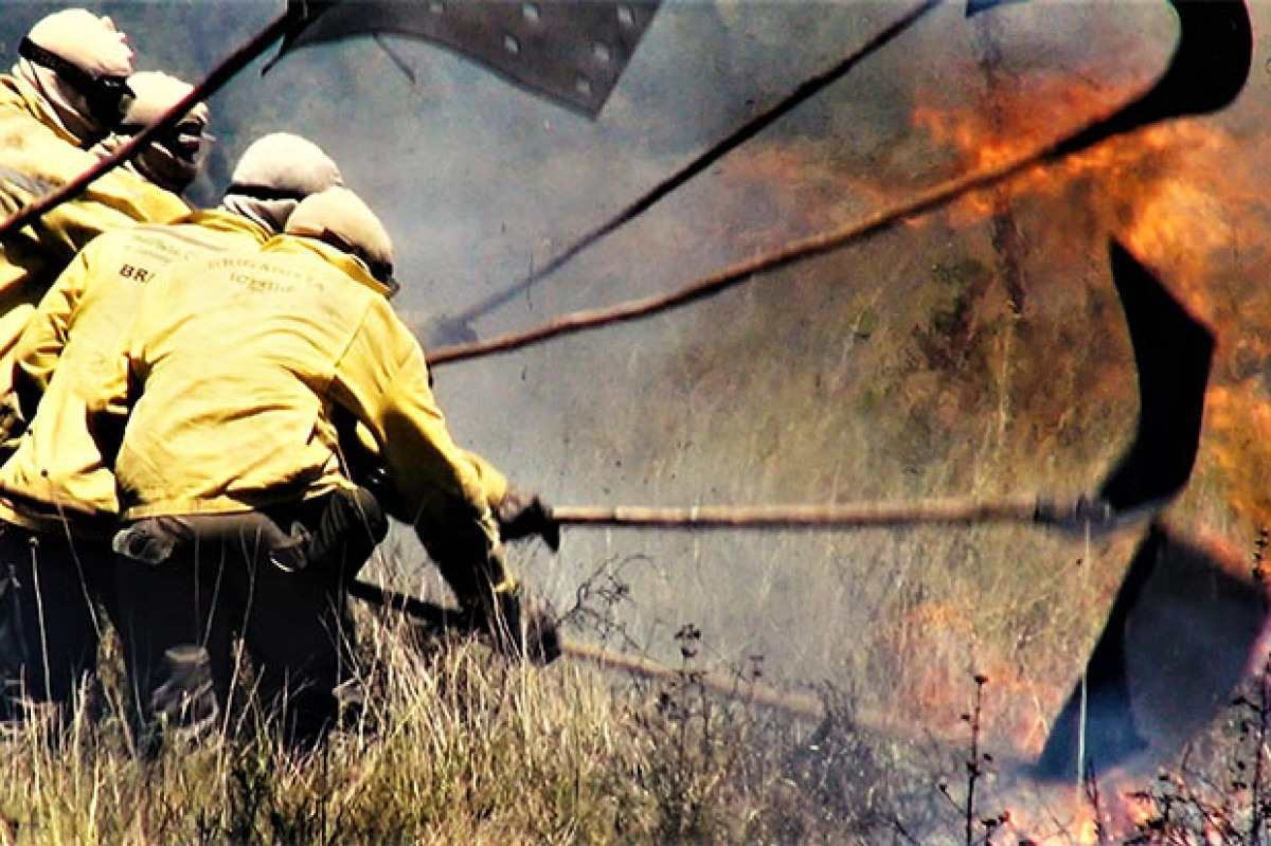 Queimadas no Cerrado colocam em risco nascentes de bacias hidrográficas