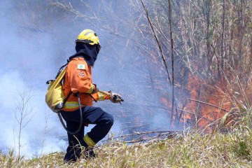  19/09/2024 Credito: Ed Alves/CB/DA.Press. Cidades. Incendio no Nucleo Santos Dumont - Proximo ao Vale do Amanhecer - e perto na DF 130.  -  (crédito:  Ed Alves/CB/DA.Press)