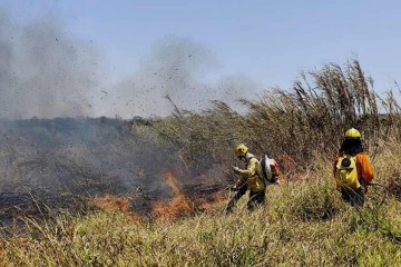 Bombeiros precisaram ser acionados para conter o fogo -  (crédito: Ed Alves/CB/D.A Press)