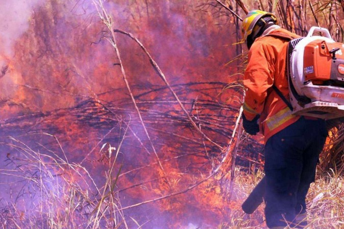  19/09/2024 Credito: Ed Alves/CB/DA.Press. Cidades. Incendio no Nucleo Santos Dumont - Proximo ao Vale do Amanhecer - e perto na DF 130. 