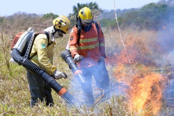  19/09/2024 Credito: Ed Alves/CB/DA.Press. Cidades. Incendio no Nucleo Santos Dumont - Proximo ao Vale do Amanhecer - e perto na DF 130.  -  (crédito:  Ed Alves/CB/DA.Press)