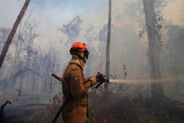 Efetivo de bombeiros militares da Força Nacional chega a 268 agentes -  (crédito: AMANDA PEROBELLI (REUTERS))