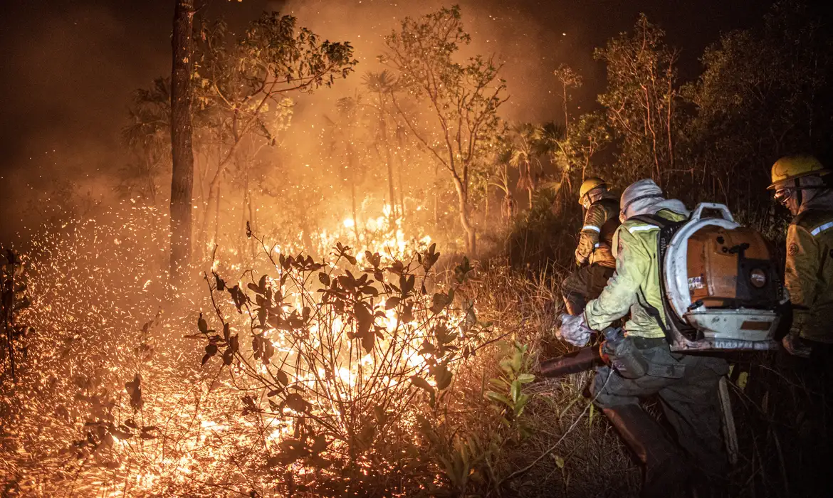 Monitoramento mostra que 99% dos incêndios são por ação humana -  (crédito: EBC)