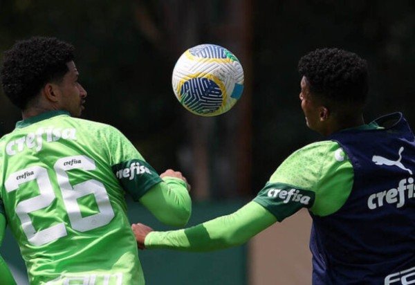 Foto: Cesar Greco/Palmeiras 