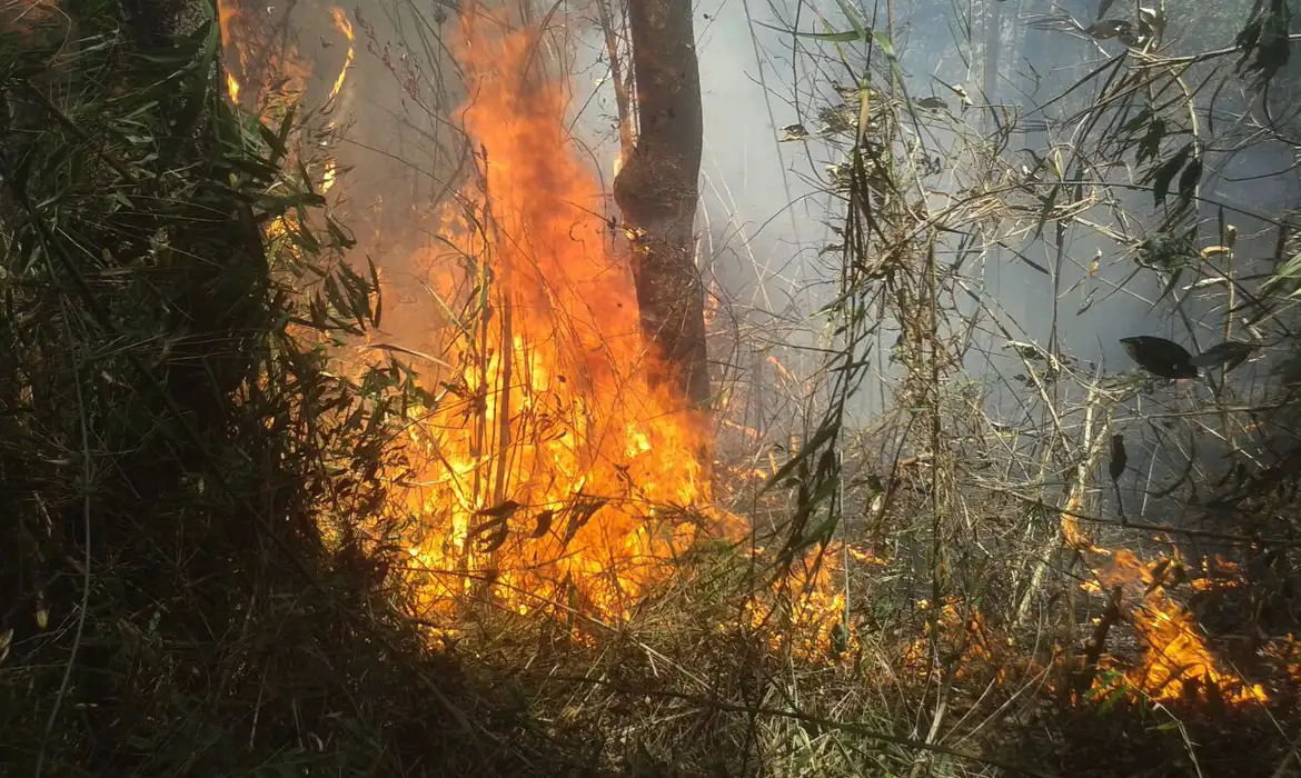 Rio: Justiça transforma em preventiva prisão de acusado de incêndio -  (crédito: EBC)