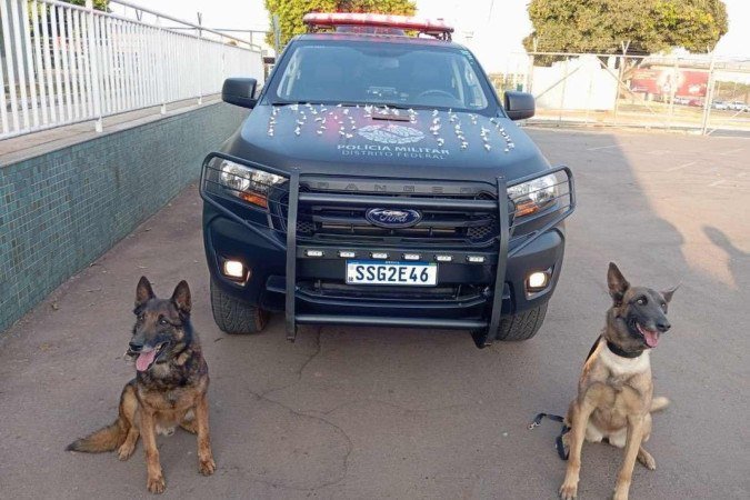 Os cães Lisa e Drago realizaram uma busca no terreno e locarizaram as 88 porções de cocaína 
 -  (crédito: PMDF)