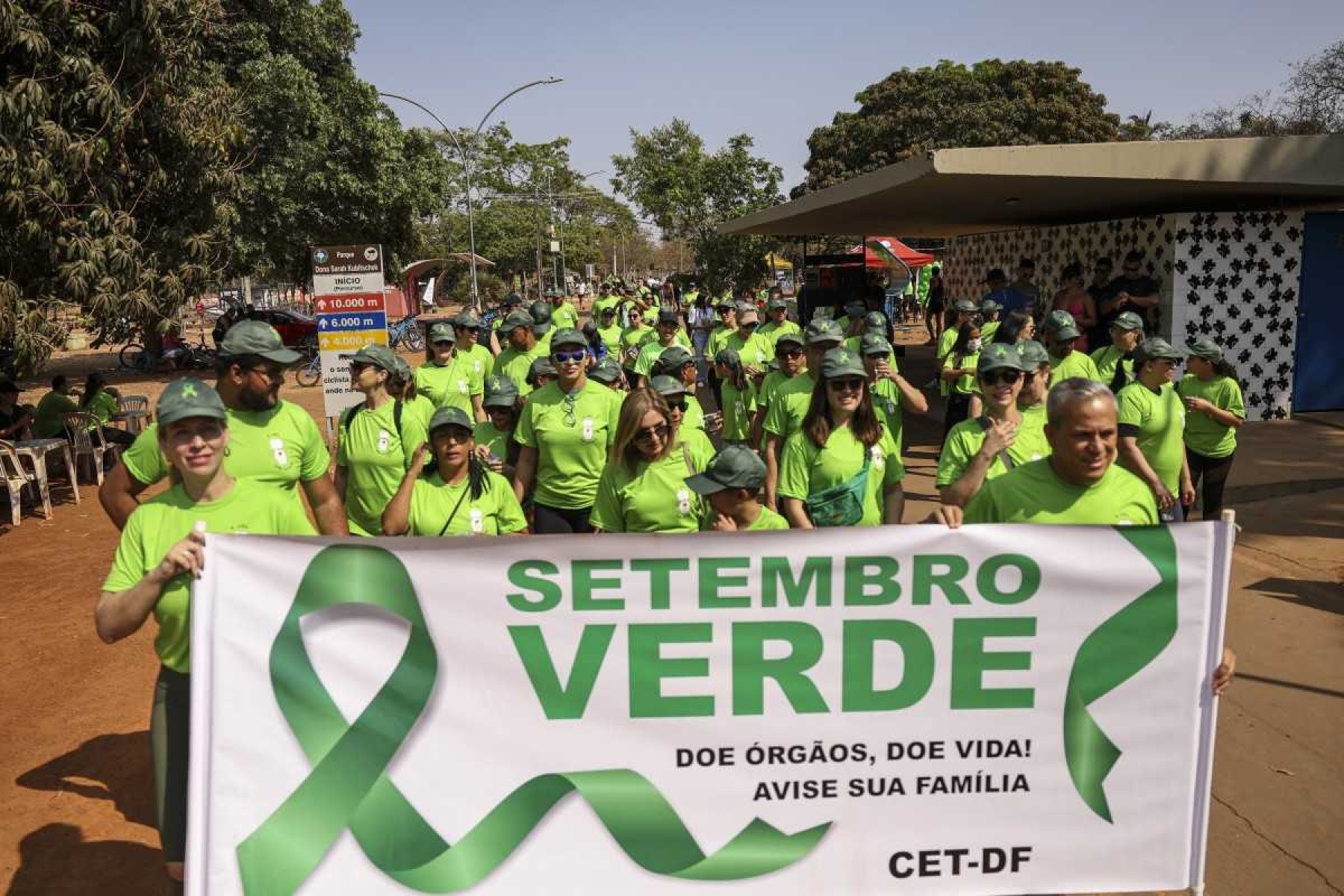 Setembro verde: conscientização para doação de órgãos