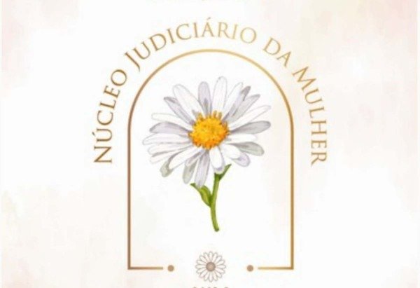 Divulgação/TJDFT