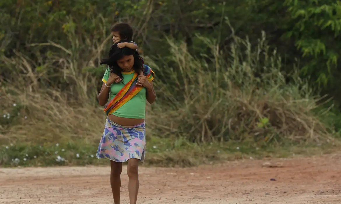  42 territórios indígenas, 3 mil domicílios indígenas e 15 povos originários, sendo um deles isolado, sofrem severas consequências devido o calor extremo e as queimadas -  (crédito: Fernando Frazão/ Agência Brasil )