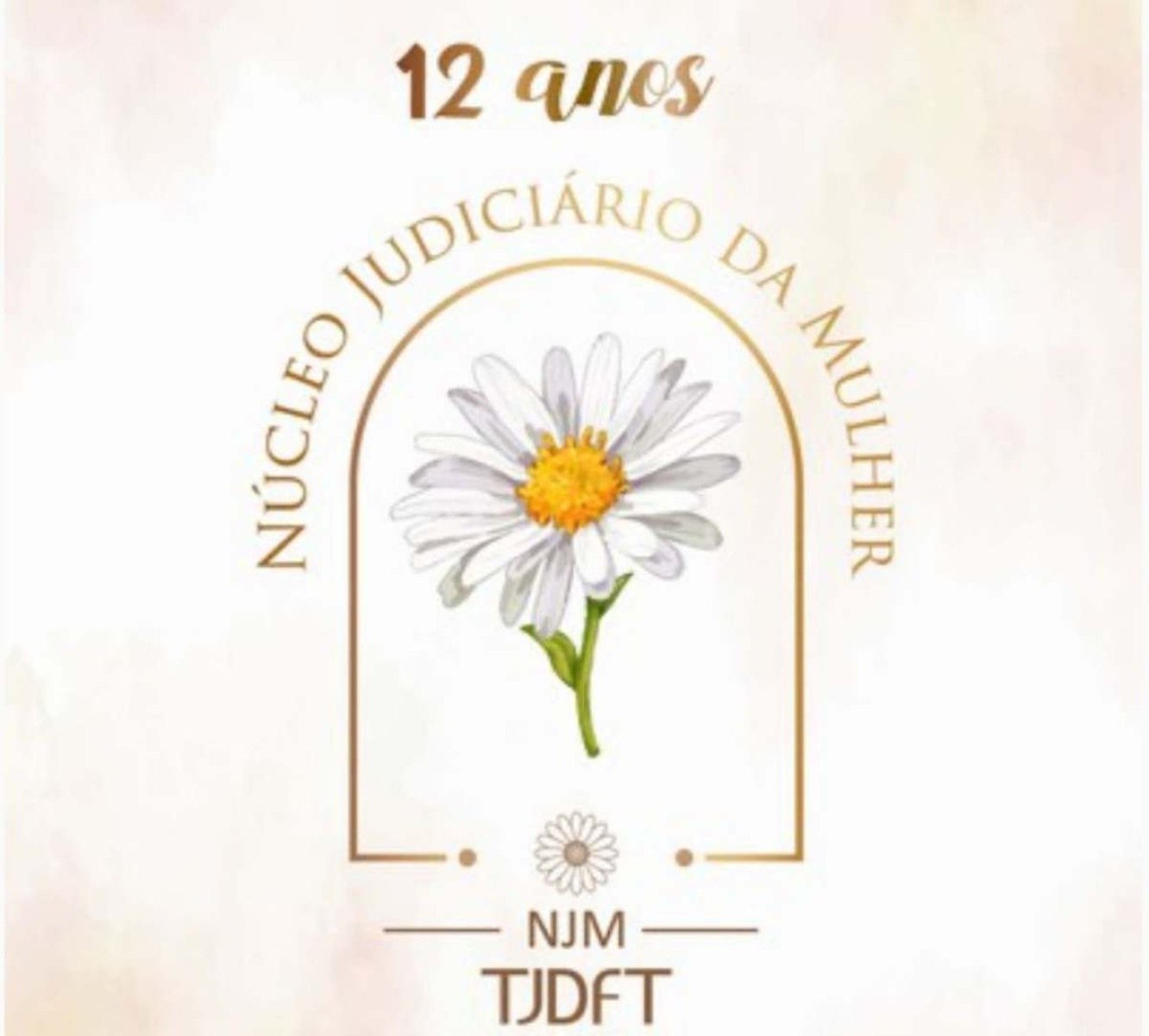 Núcleo Judiciário da Mulher do TJDFT completa 12 anos de atuação