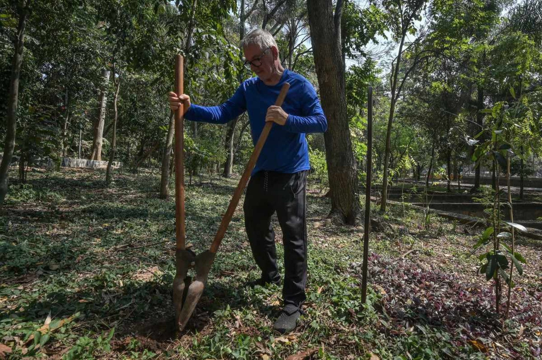 O homem que tornou mais verde a cinzenta São Paulo