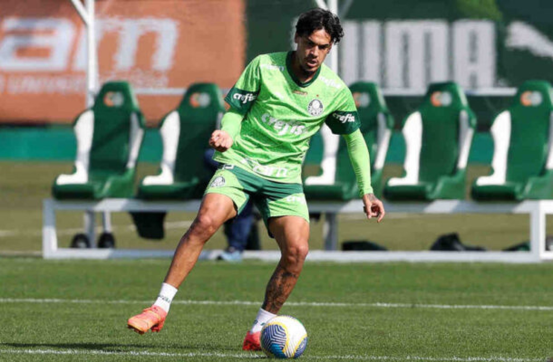 Gustavo Gómez valoriza solidez defensiva do Palmeiras na temporada