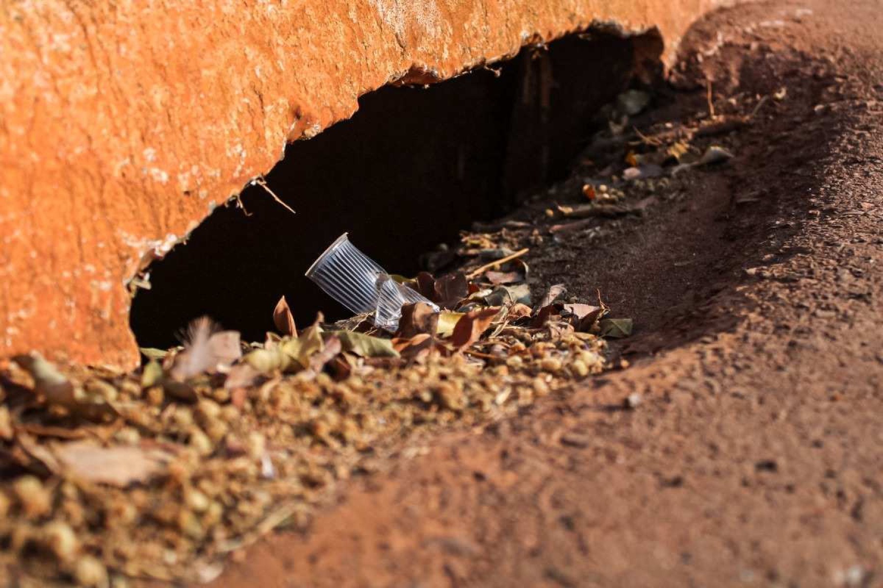 Moradores cobram ações do GDF para limpar bocas de lobo