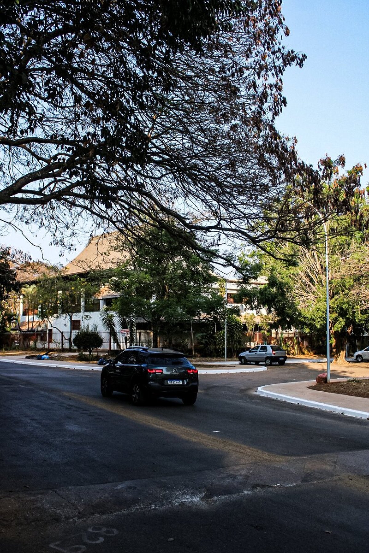 Poda de árvores é uma das medidas preventivas reivindicadas por moradores, que temem acidentes