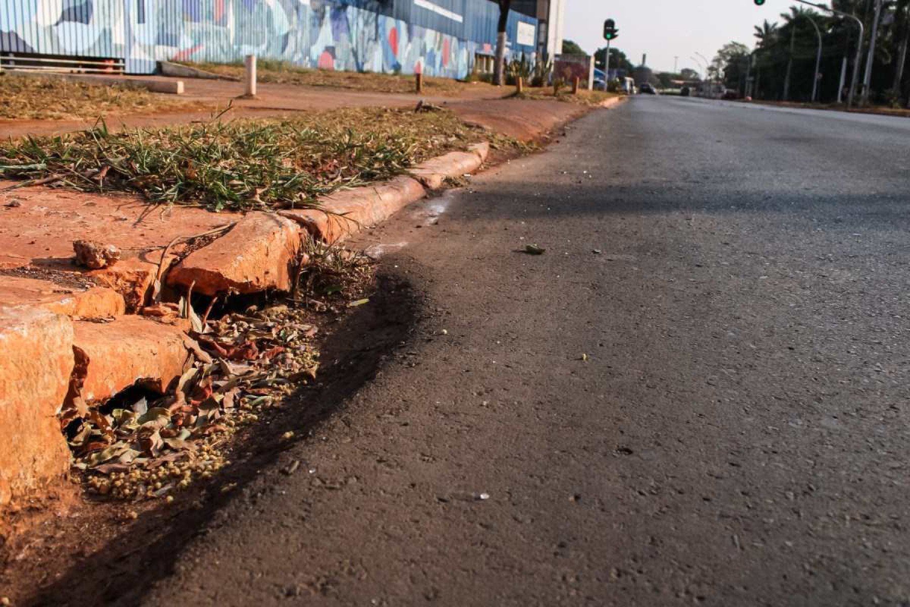 Moradores cobram ações do GDF para limpar bocas de lobo