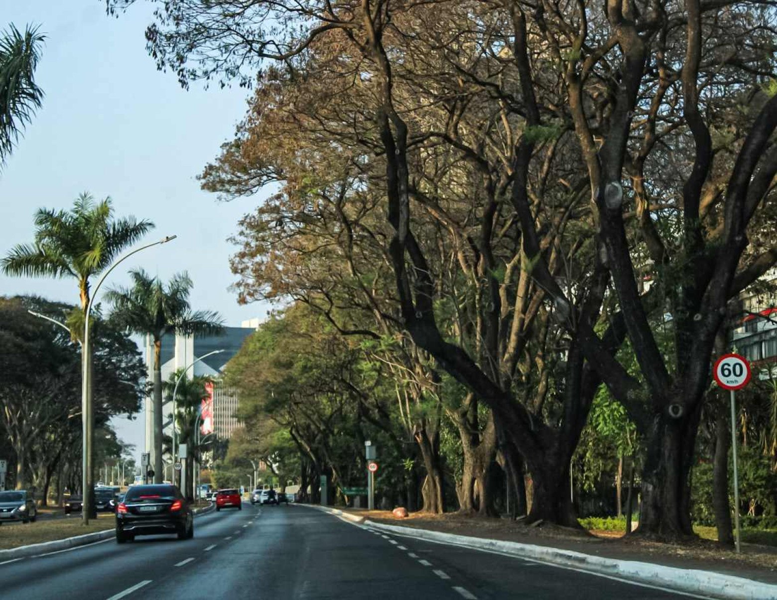 Chuva: moradores do DF cobram medidas para evitar alagamentos