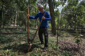 Helio da Silva criou um parque na cidade de São Paulo e plantou 40 mil árvores na maior cidade da América Latina  -  (crédito: Nelson ALMEIDA / AFP)