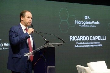 Cappelli: 'É preciso investir em pesquisa e regulamentação para que o Brasil possa aproveitar a oportunidade da transição energética' -  (crédito: Ed Alves/CB/DA.Press)