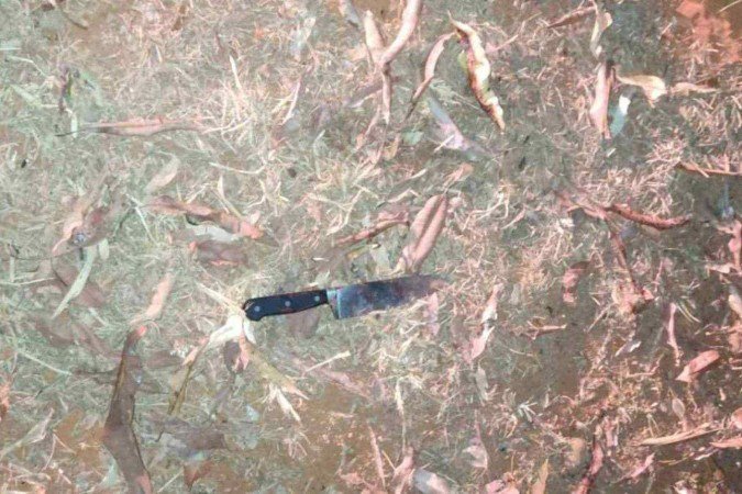 Arma usada no crime - (crédito: Material cedido ao Correio) Arma usada no crime - (crédito: Material cedido ao Correio)
