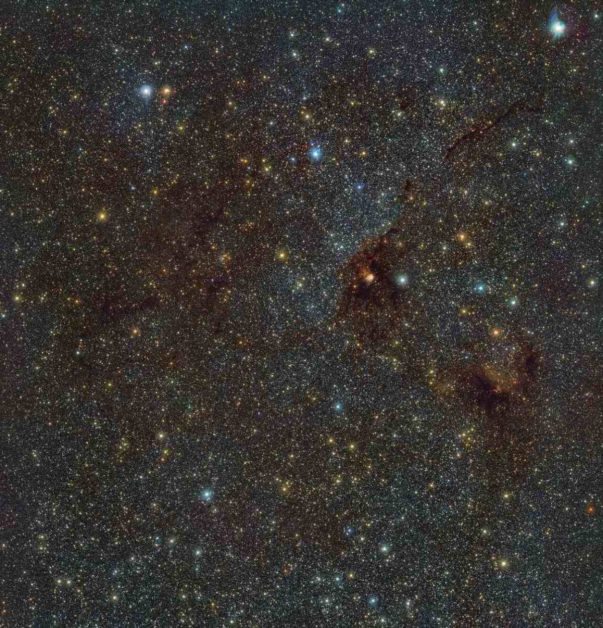 Imagem infravermelha da NGC 6188, também conhecida como Nebulosa do Pássaro de Fogo