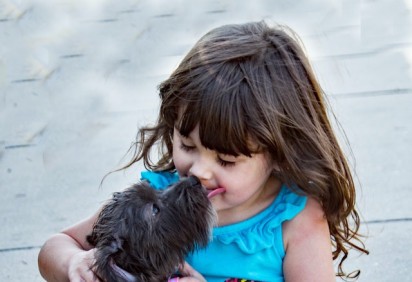 Pretende dar um cãozinho de estimação para seu filho? Saiba que os cães são animais geralmente amáveis, fofos e serão os melhores amigos da criançada. -  (crédito: Pexels/bin Ziegler)