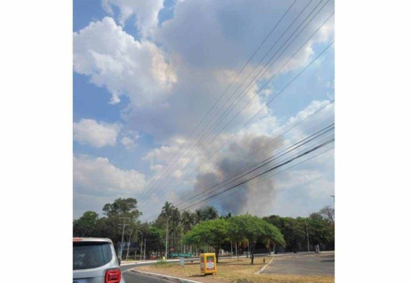 Fumaça próxima ao Aeroporto de Brasília -  (crédito: Divulgação/Vanessa Tourinho)