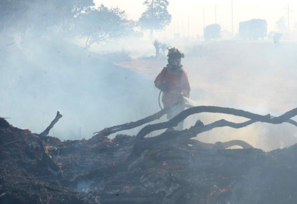 Fogo perto da BR 020, entre Sobradinho e Planaltina, assustou moradores e motoristas  -  (crédito: Ed Alves/CB/DA.Press)