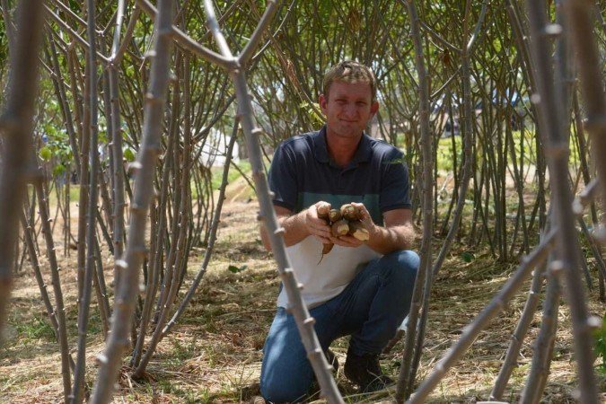 01/10/2024 Credito: Ed Alves/CB/DA.Press. Cidades. Plantação de Mandioca. Novo clone de Mandioca. Fazenda da UnB. Na foto, Jefferson Isoton - Produtor Rural. 