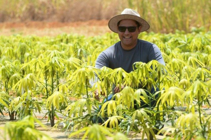 Antonizete dos Reis Souza planta duas variedades e vai testar o novo clone  