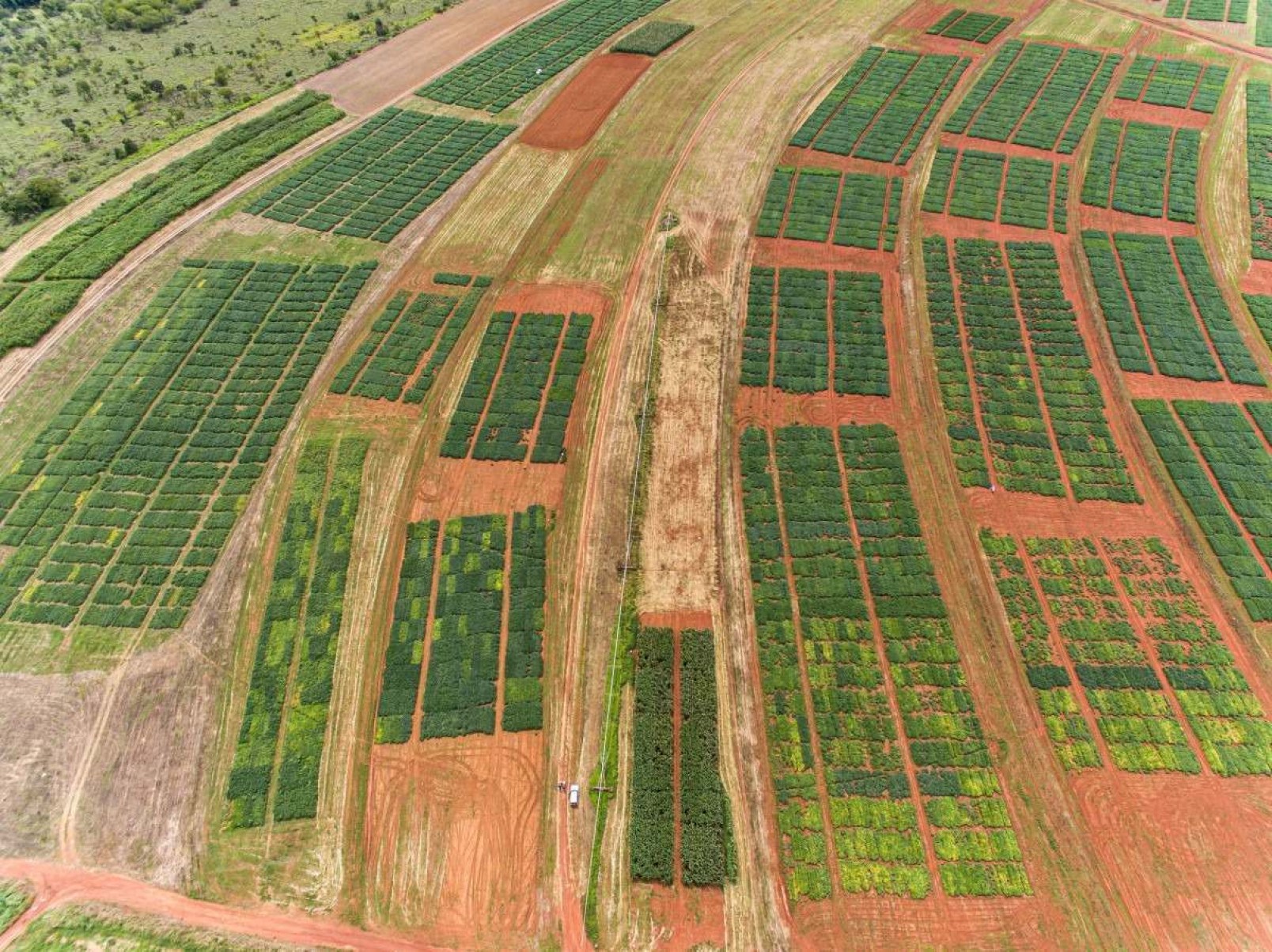 El Niño impacta a produção de soja no Distrito Federal