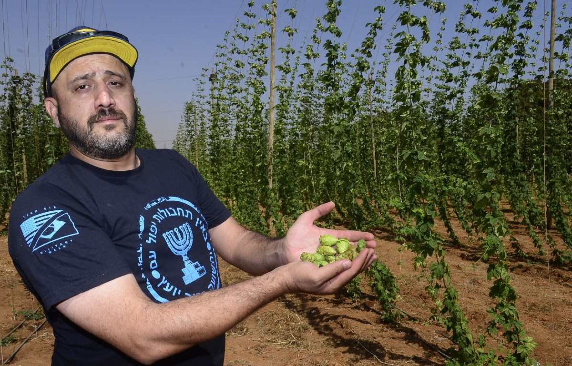 Márcio Magela cultiva cinco variedades da planta em sua chácara