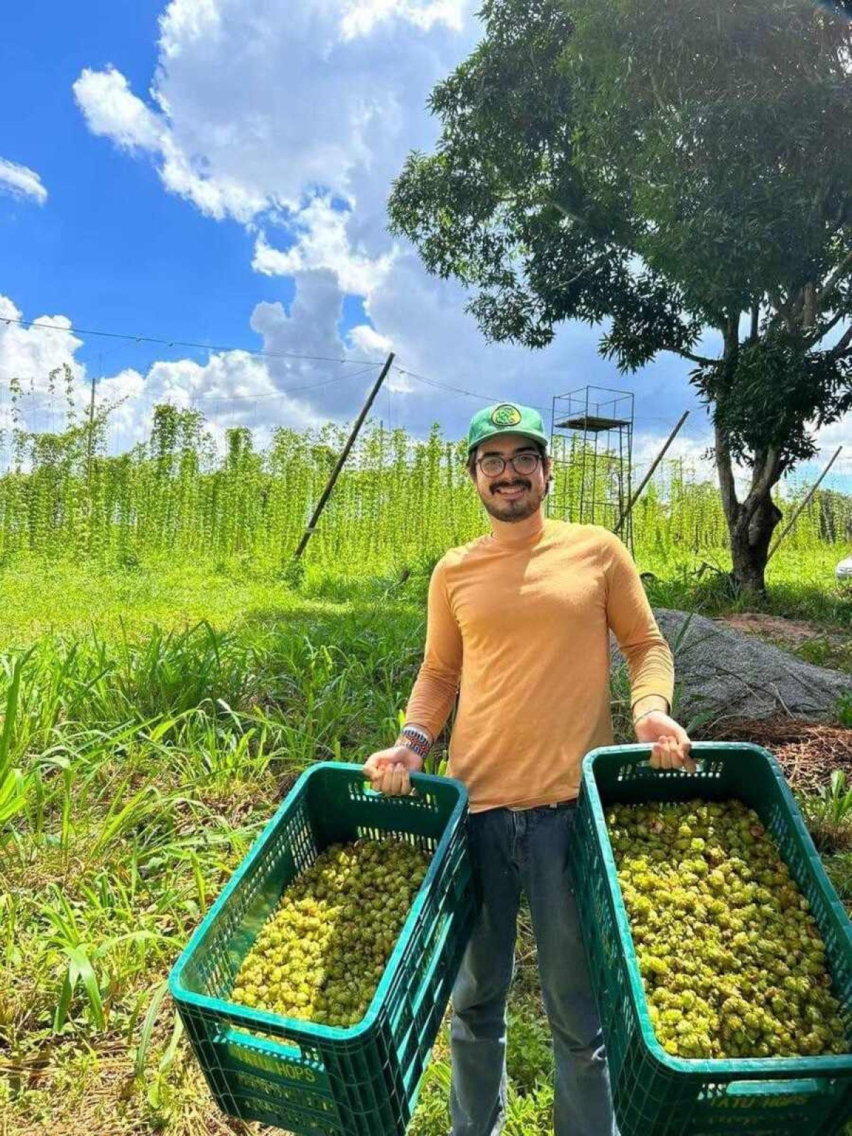 João Marcus Simões Dias é, atualmente, o único produtor de lúpulo em grande escala no DF