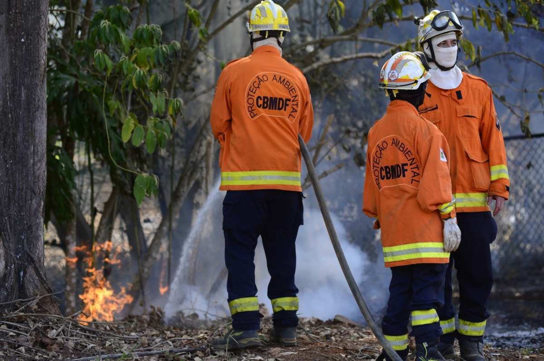  01/10/2024 Crédito: Marcelo Ferreira/CB/D.A Press. Brasil. Brasília - DF - Incêndio na quadra 21 do Parque Way