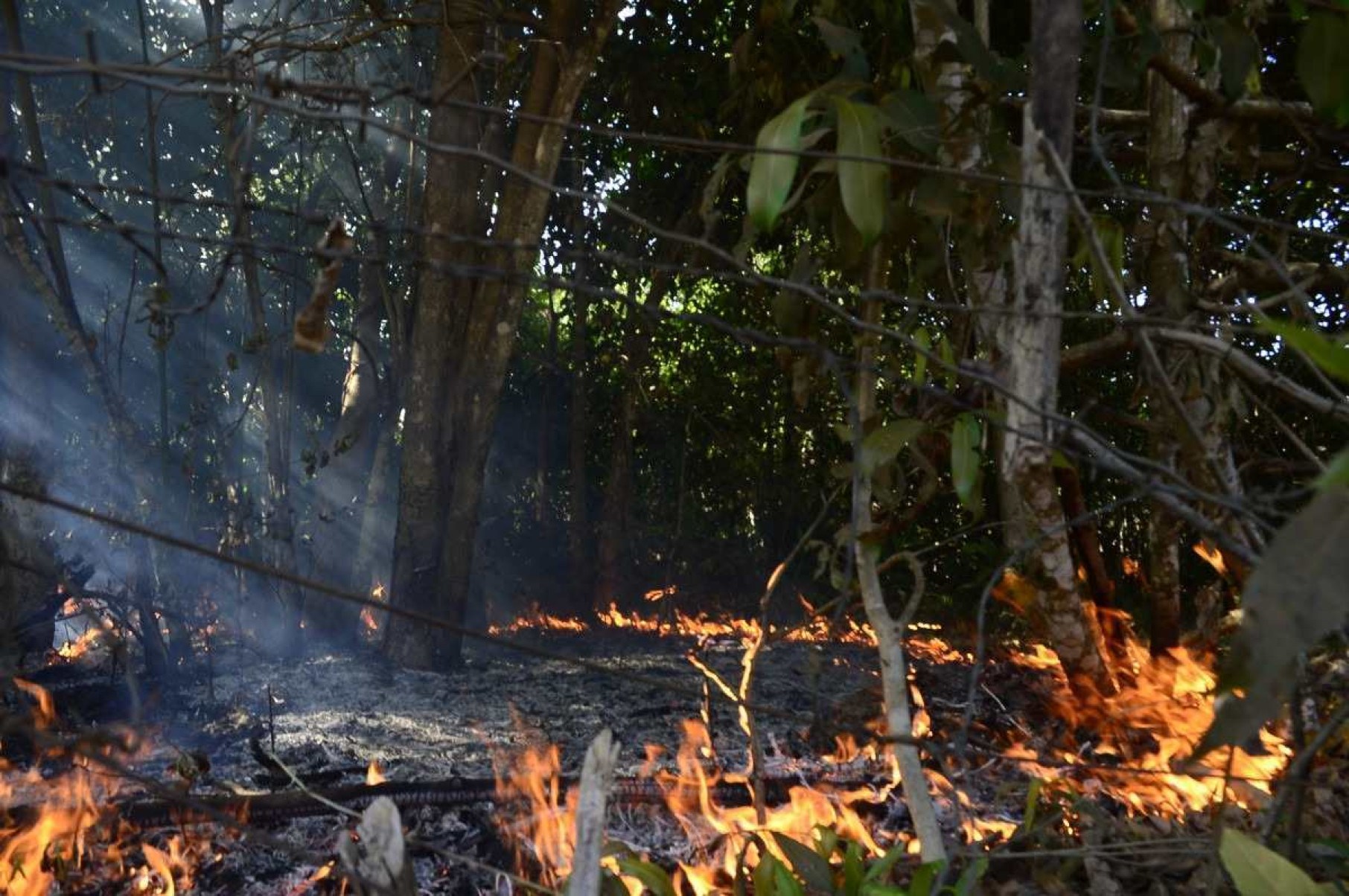  01/10/2024 Crédito: Marcelo Ferreira/CB/D.A Press. Brasil. Brasília - DF - Incêndio na quadra 21 do Parque Way